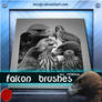 Falcon brushes by m10tje