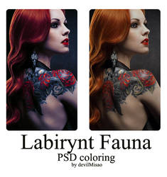 Labirynt Fauna PSD coloring