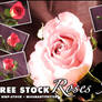 FREE STOCK, Rose Pack 2