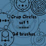 Crop Circles 1