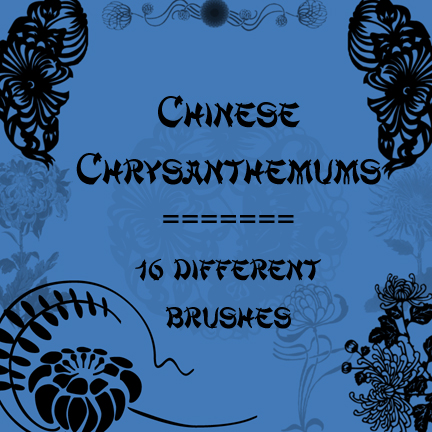 Chinese Chrysanthemums