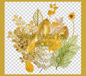 PNG PACK GOLD BY FEDERICO1016