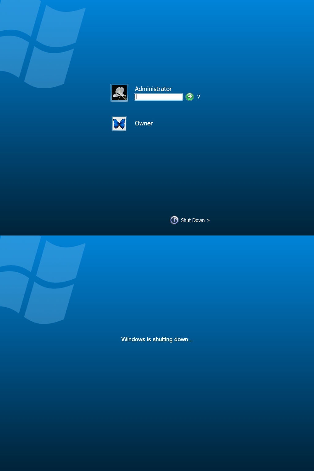 postman download for windows 11