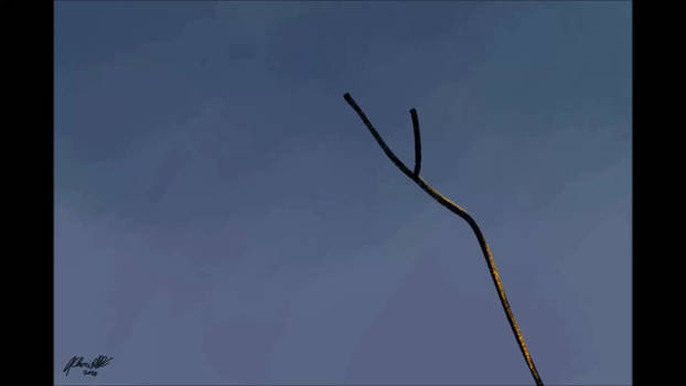 Explore the Best Kangarooislanddunnart Art | DeviantArt