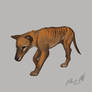 Thylacine Walk (animation)