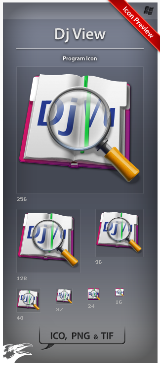 Icon Dj View