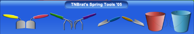 Spring Tools '05