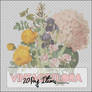 20 Png Vintage Flora Items.