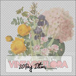 20 Png Vintage Flora Items.