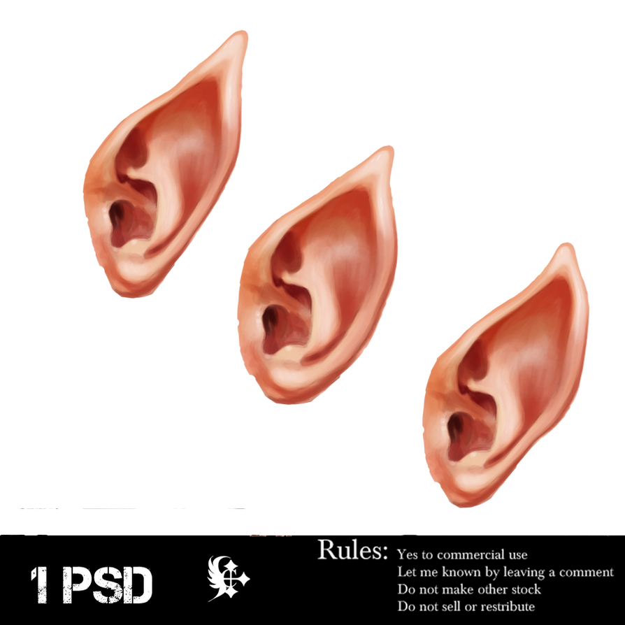 photo Elf Ear Reference elf ear by eerilyfair stock on deviantart