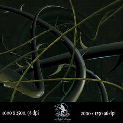 Thorny Vines