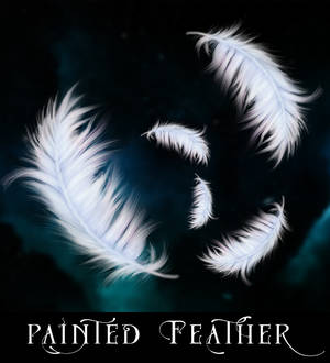 Handpainted Feathers