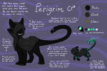 Perigrims a big Cloak Boy: PERIGRIM REF (EVOLOONS) by CoffeeAddictedDragon