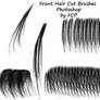 Front Haircut Brushes Photoshop