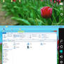 Windows 8 Release Preview Kit Final