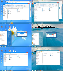 Windows8 RTM and 8.1 Visual Style