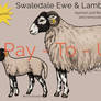 PTU Updated Swaledale Ewe + Lamb base