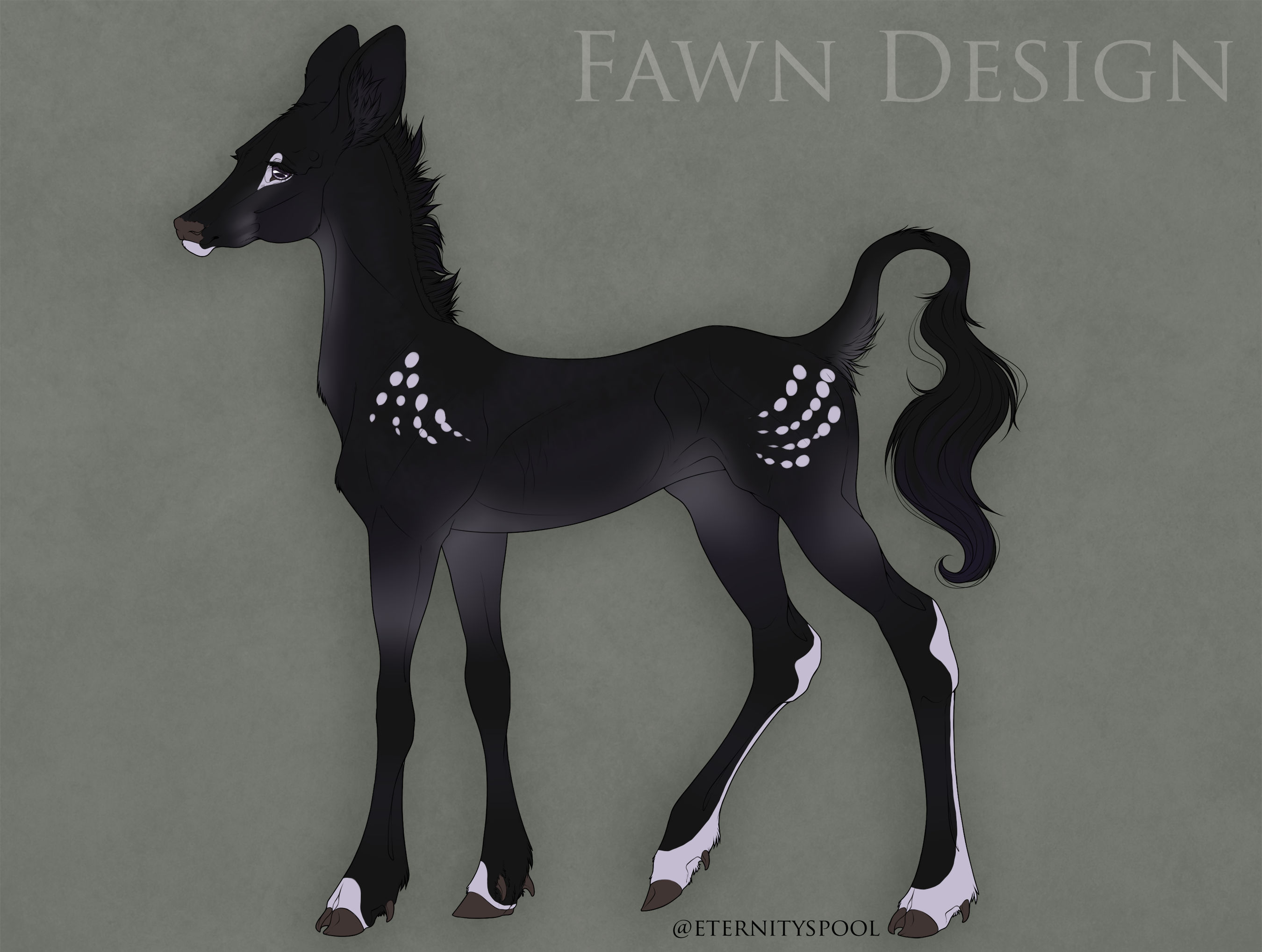 Shine Fawn Design