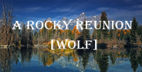 A Rocky Reunion [WoLF]