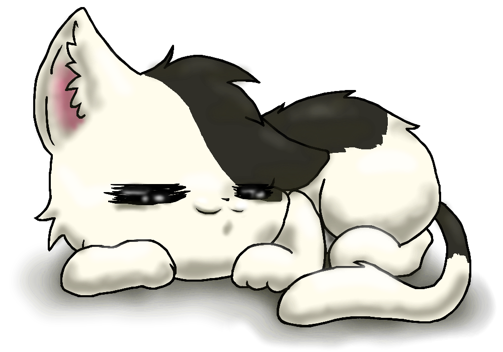 Kitteh by Chalk-Q on DeviantArt