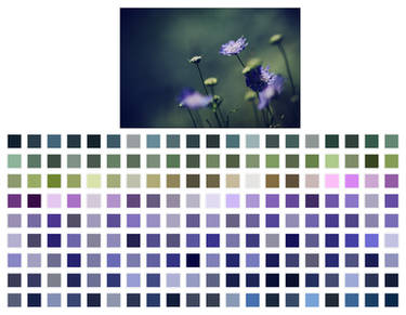Blue Flowers palette