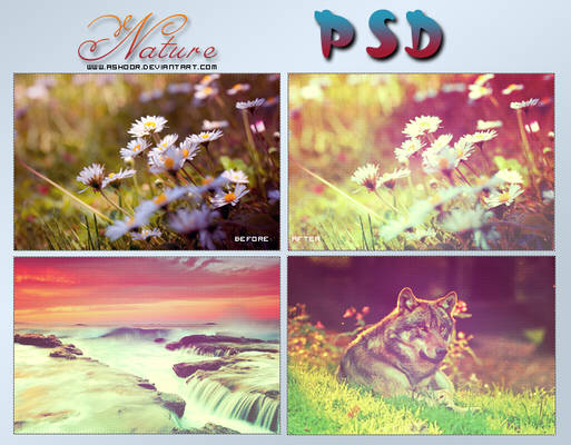 Nature PSD