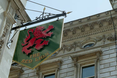 Red lion