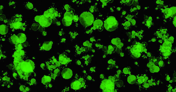 Toxic Wallpaper By Greenplutoneon On Deviantart