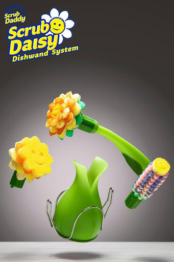Scrub daisy 2024