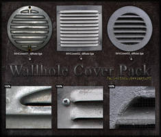 Wallhole Cover Pack