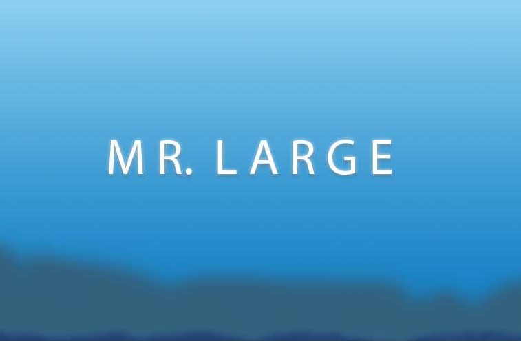 Mr. Large