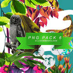 png pack #6