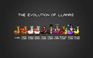 The Evolution of Llamas