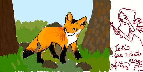 A Red Fox