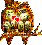 Owl'd love never dies