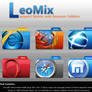LeoMix web browser folders