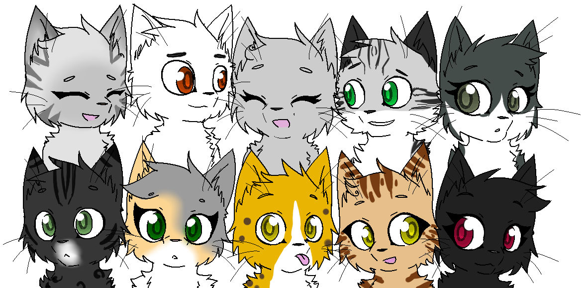 ShadowClan Cats by JayFeather on DeviantArt