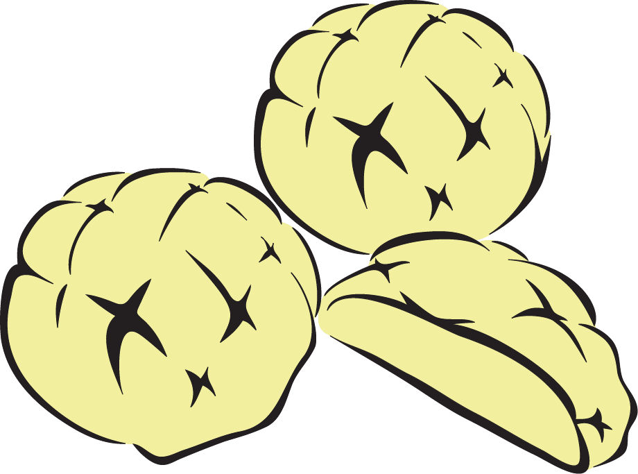 Melon Bread by AliciaRFlowright on DeviantArt