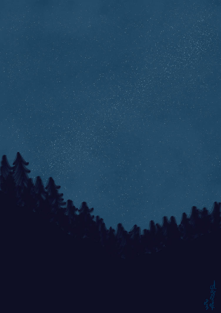 A Starlit Walk by dswolfstar on DeviantArt