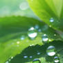 Whimsical Water Droplets