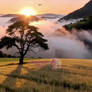 Golden wheat fields at sunrise mist valley