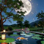 Koi fish swimming in the pond romantic charming