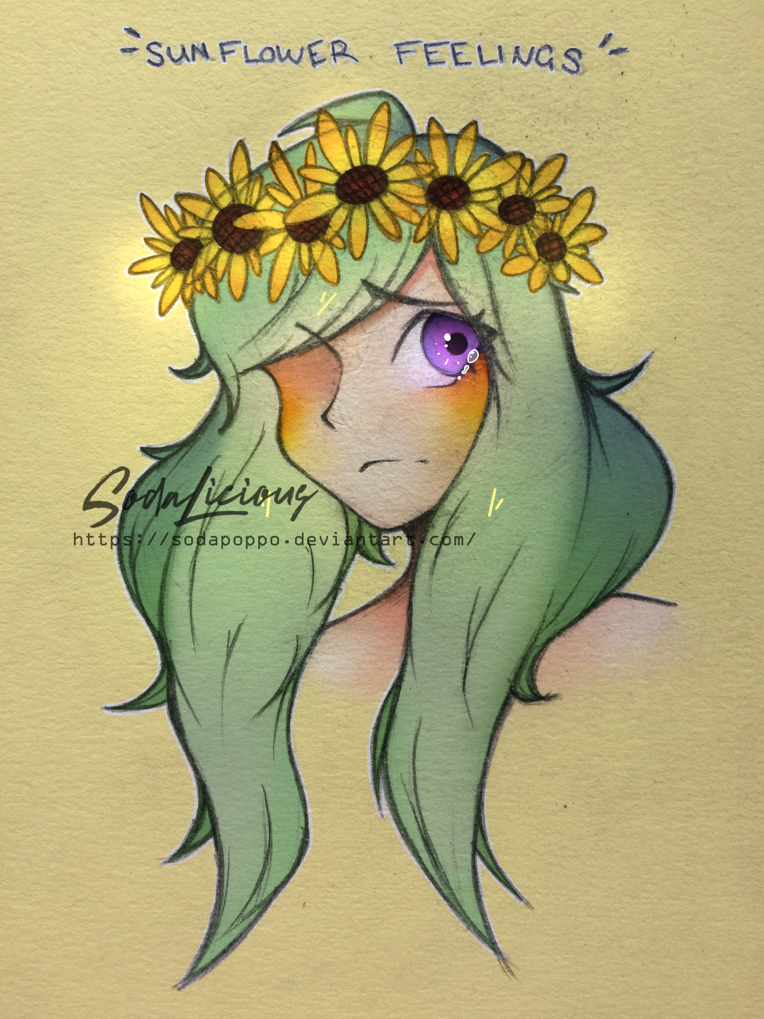 sunflower feelings