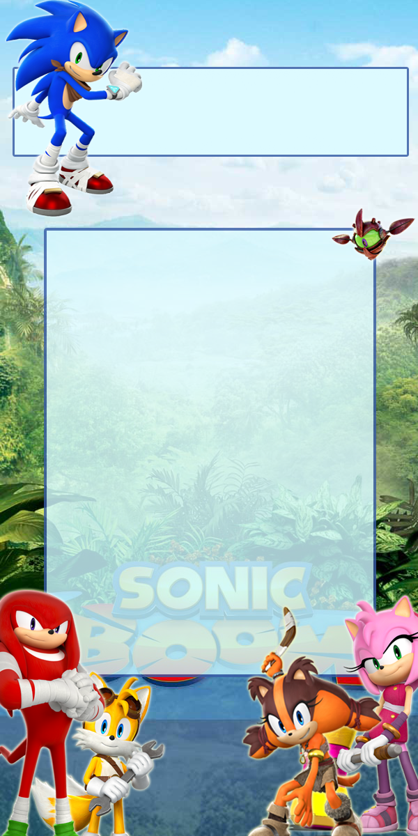 Sonic Boom Journal Skin