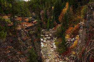 Down Into the Box Canyon 