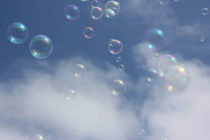 Bubbles Stock | Free Use