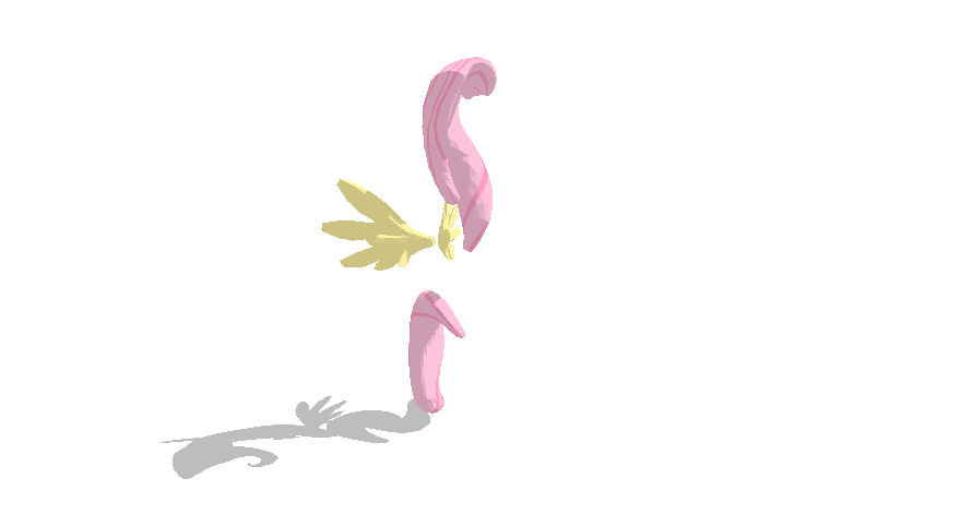 Fluttershy Set +DL by Valforwing on DeviantArt