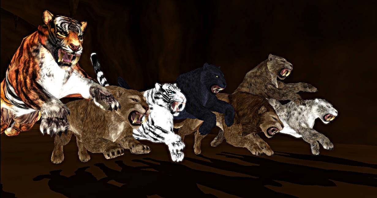 Cats of Skyrim MMD Model Pack by Valforwing on DeviantArt