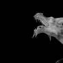 MMD Newcomer Marble Drake Statue and Poses + DL
