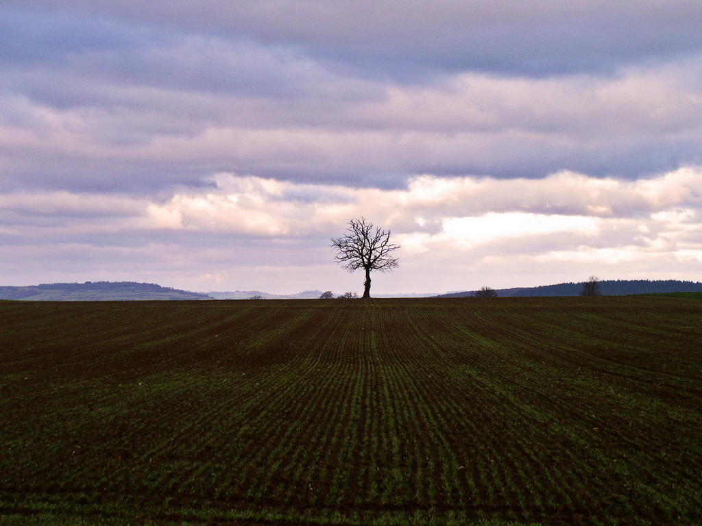 Wallpaper - Bourgogne - 2